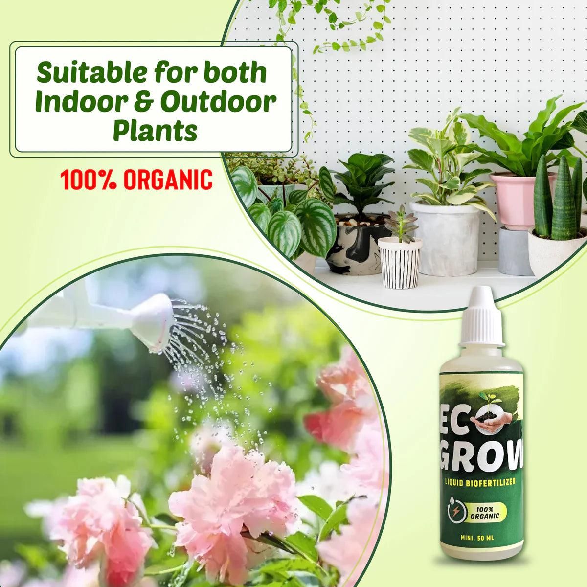 Ecogrow 100% Organic Plant Boost Biofertilizer Buy 1 Get 2 Free